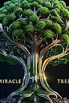 Miracle Tree