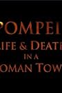 Pompeii: Life & Death in a Roman Town (2010)