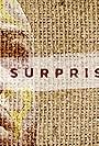 A Surprise (2019)