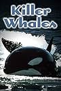 Killer Whales: Up Close and Personal (2000)