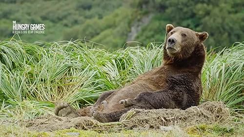 Bears of Alaska's Katmai National Park bulk up for winter hibernation over 150 days. Battling elements and each other, they consume three million calories and gain up to 200 pounds in Nature's survival show.