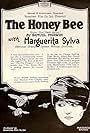 Marguerita Sylva in The Honey Bee (1920)