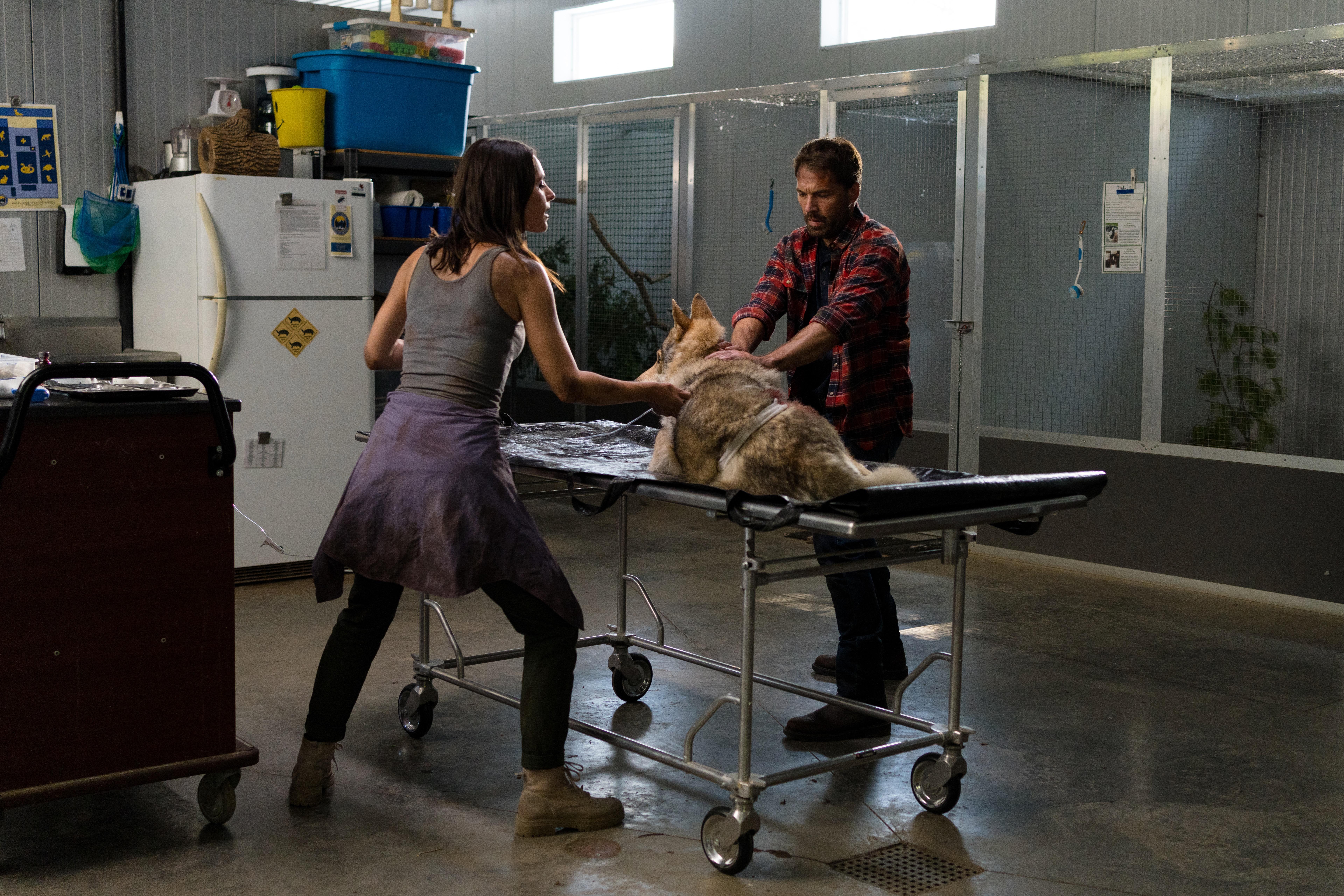 Tim Rozon and Nola Martin in Love in Wolf Creek (2022)