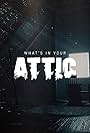 What's in Your Attic? (2019)