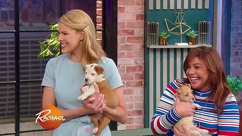 Beth Stern Visits with the Cutest Puppies You've Ever Seen