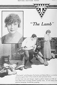 Primary photo for The Lamb