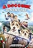 A Doggone Adventure (2018) Poster