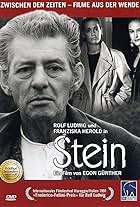 Stein