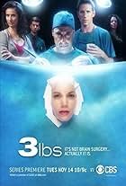 3 lbs. (2006)