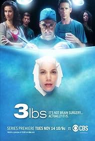 3 lbs. (2006)