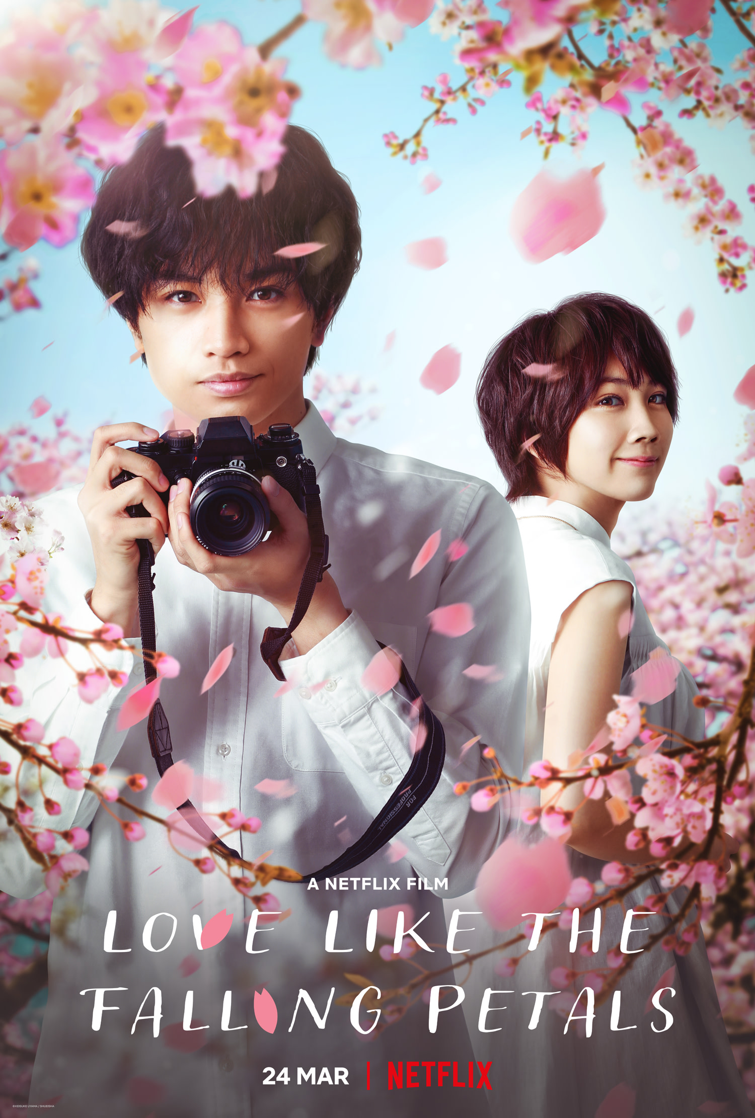 Love Like the Falling Petals (2022)