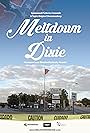 Meltdown in Dixie (2021)