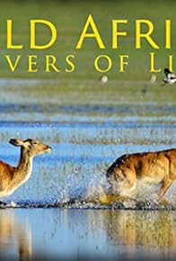 Primary photo for Wild Africa: Rivers of Life