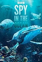 Spy in the Ocean