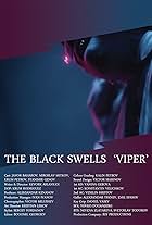 The Black Swells 'Viper' (2018)