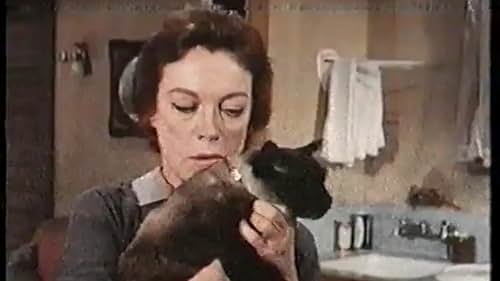 After a kidnapped bank teller uses a neighbor's wandering cat to send an S.O.S., the F.B.I. assigns a cat-allergic Agent to the case.