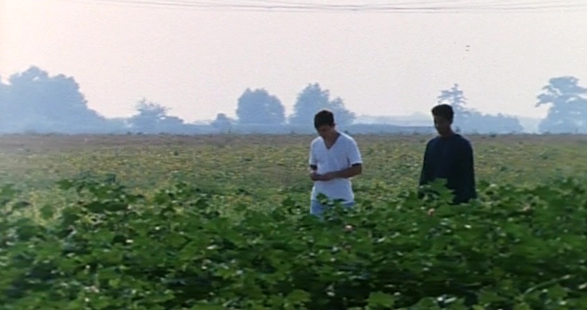 The Delta (1996)