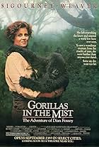 Gorillas in the Mist