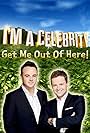 Declan Donnelly and Anthony McPartlin in I'm A Celebrity... The Daily Drop (2020)