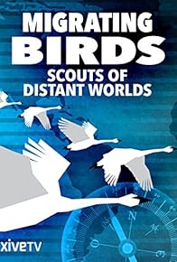 Primary photo for Migrating Birds (1/2) - Scouts of Distant Worlds