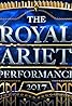 The Royal Variety Performance 2017 (2017) Poster