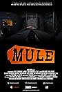 Mule (2016)