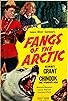 Primary photo for Fangs of the Arctic