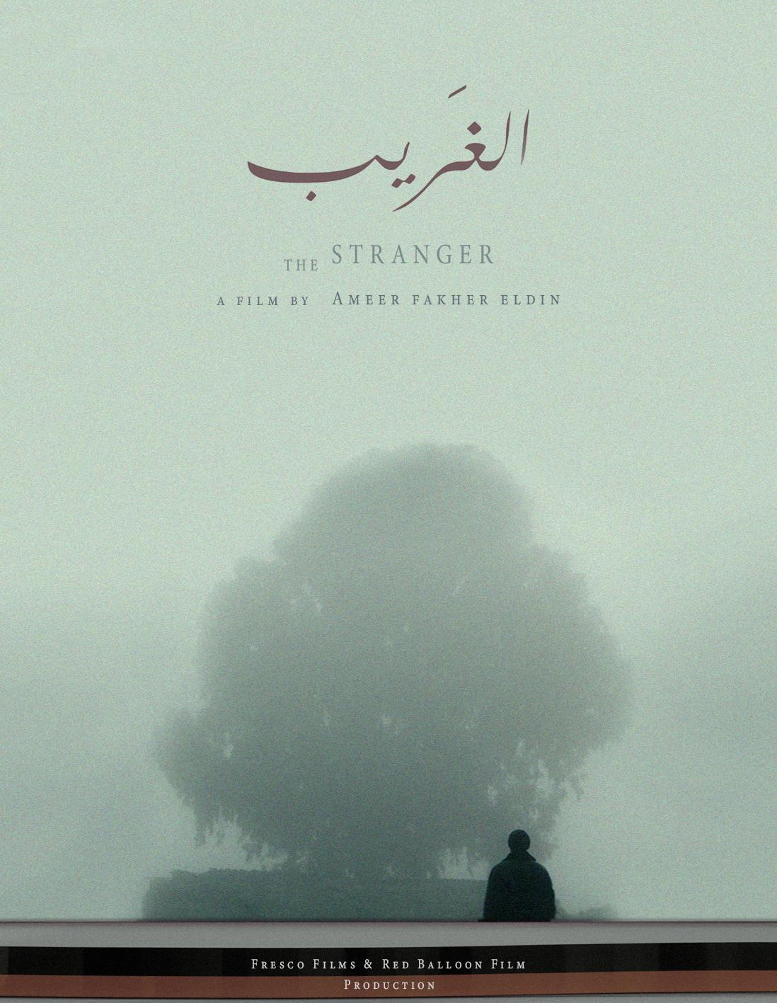 Ameer Fakher Eldin in The Stranger (2021)