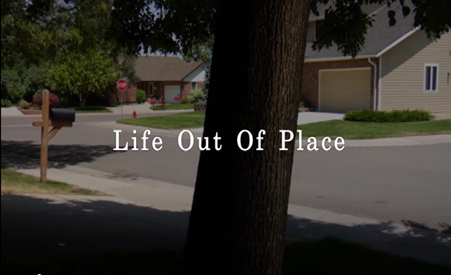 Life Out of Place (2009)