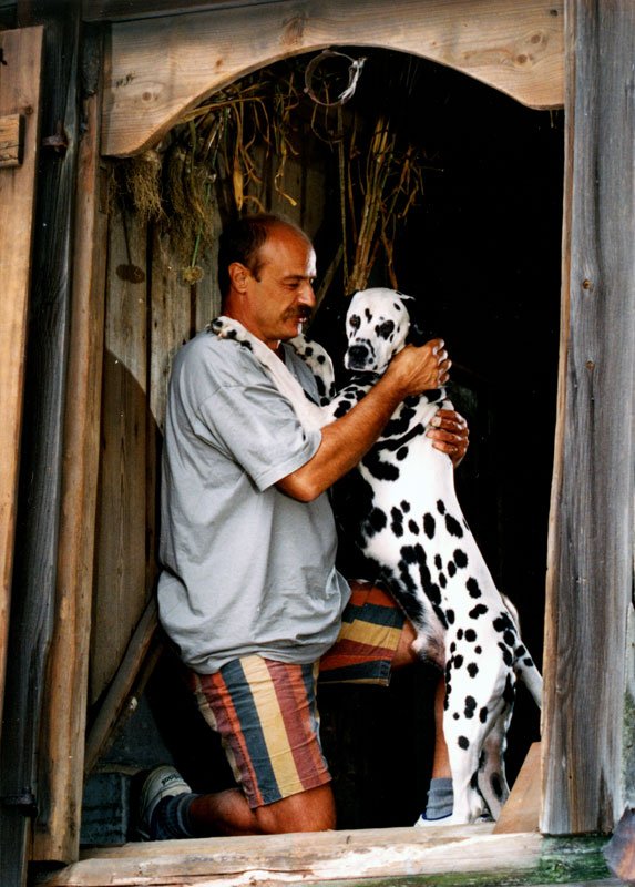 Pavel Nový in Artus, Merlin a Prchlici (1995)