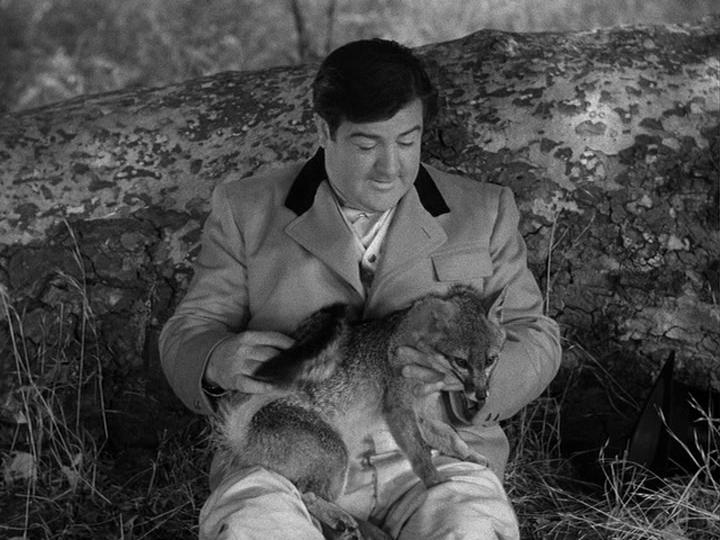 Lou Costello in In Society (1944)