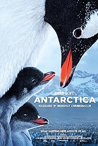 Primary photo for Antarctica IMAX