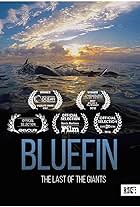 John Hopkins in Bluefin (2016)