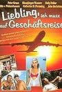 Liebling, ich muß auf Geschäftsreise (1995)