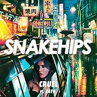 Primary photo for Snakehips feat. Zayn: Cruel