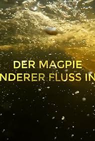 Der Magpie - Ein besonderer Fluss in Kanada (2023)