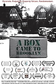 Primary photo for A Box Came to Brooklyn