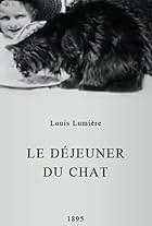 Le déjeuner du chat