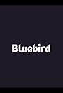 Bluebird (2017)