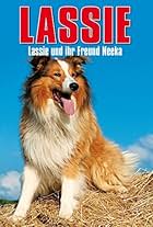 Lassie: The Adventures of Neeka