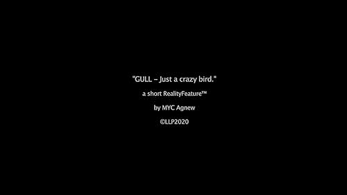 "GULL - Just a crazy bird." - OFFICIAL TRAILER