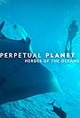 Perpetual Planet: Heroes of the Oceans (2021)