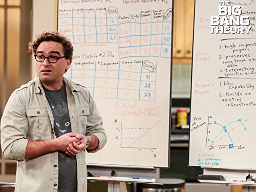 Johnny Galecki in The Big Bang Theory (2007)