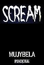 Scream (2013)