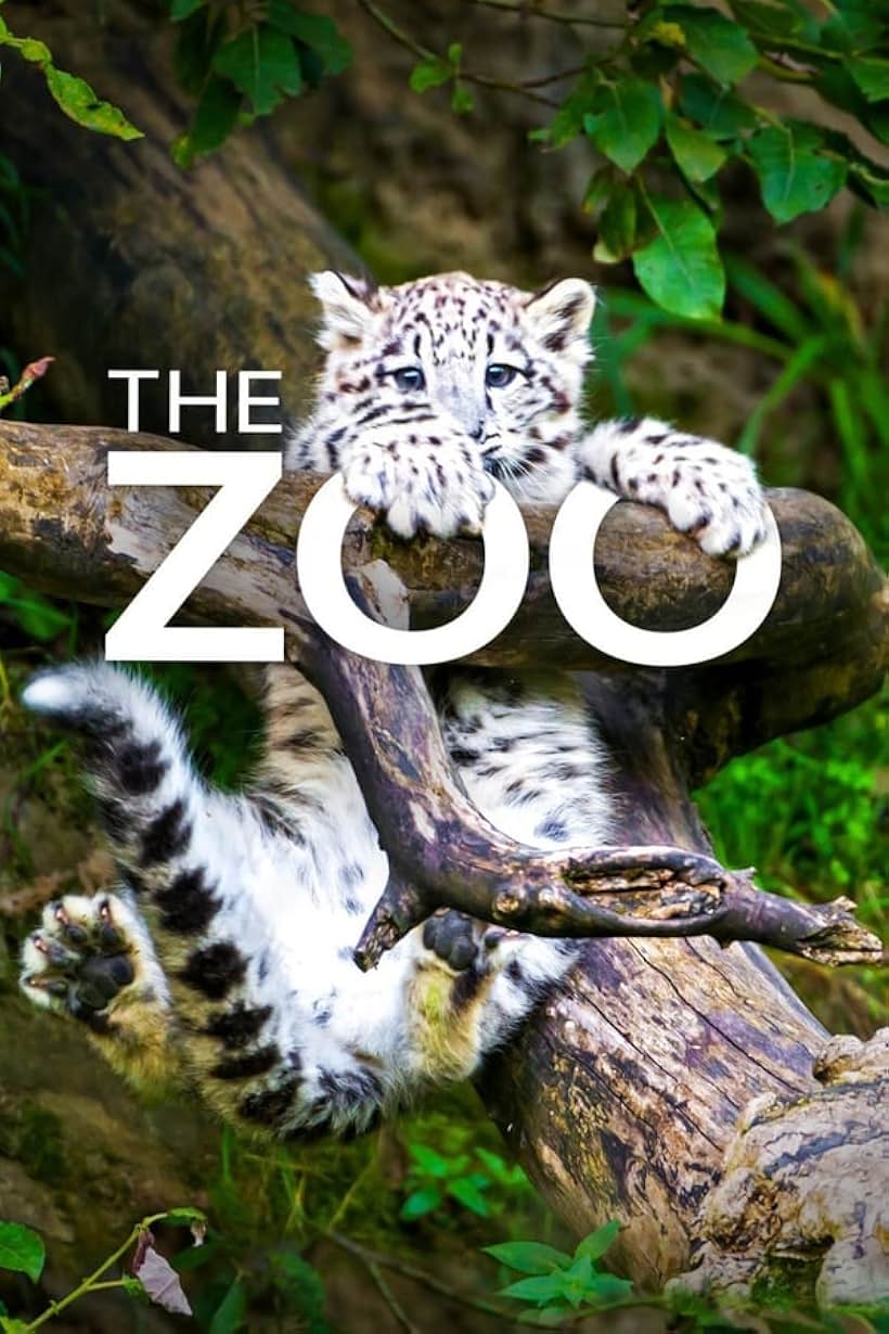 The Zoo (2017)