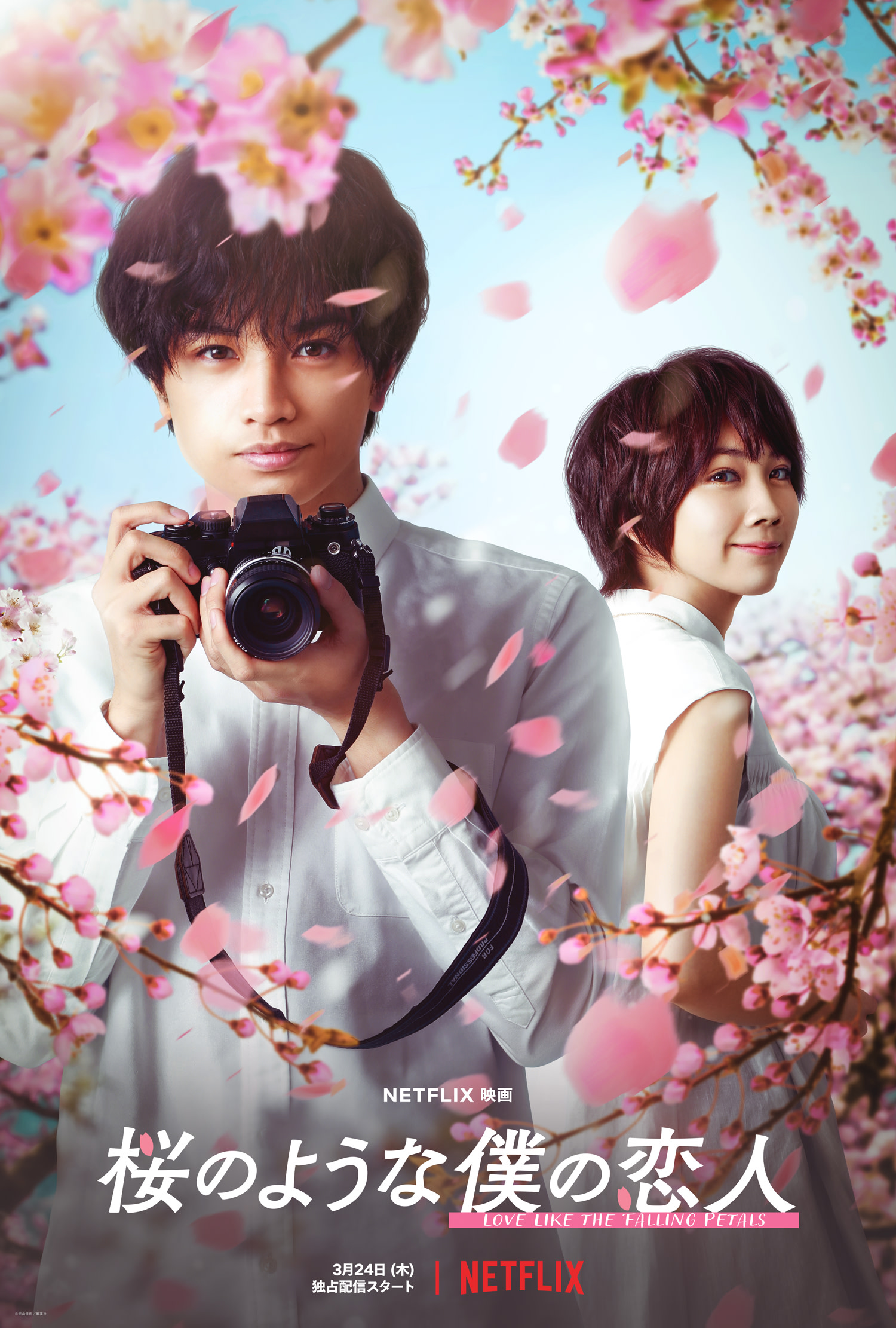 Love Like the Falling Petals (2022)