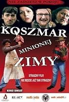 Koszmar minionej zimy (2011)