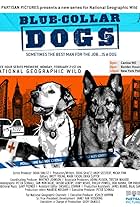 Blue Collar Dogs (2011)