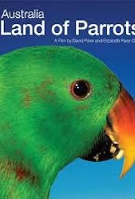 Primary photo for Australia: Land of Parrots