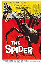 The Spider